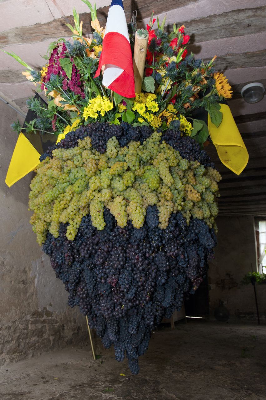 Evenements Biou Arbois 9783